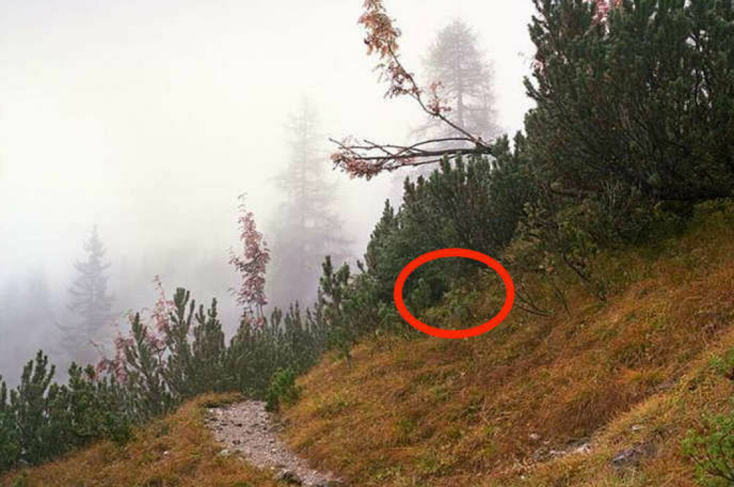Foto: Simon Menner soldat7facit