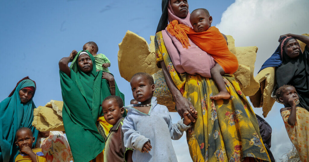 Somalier som flytt torkan på Afrikas horn, som är den värsta att drabba regionen på 40 år, anländer till ett flyktingläger utanför Mogadishu i juni 2022. Klimatet och Ukraina driver rekordmånga på flykt