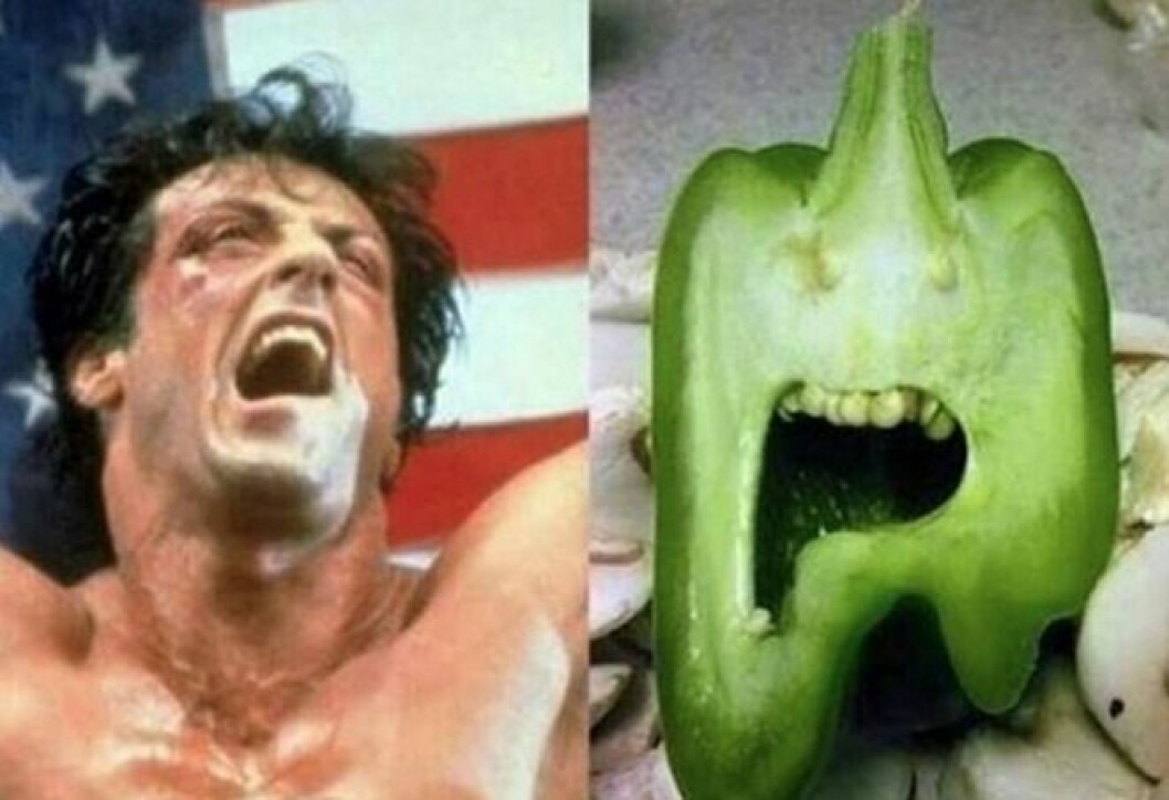 stallone