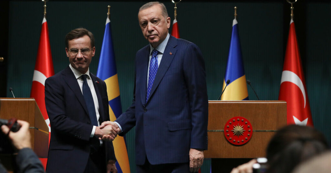 Expert: Besvärande för Sveriges Natoansökan