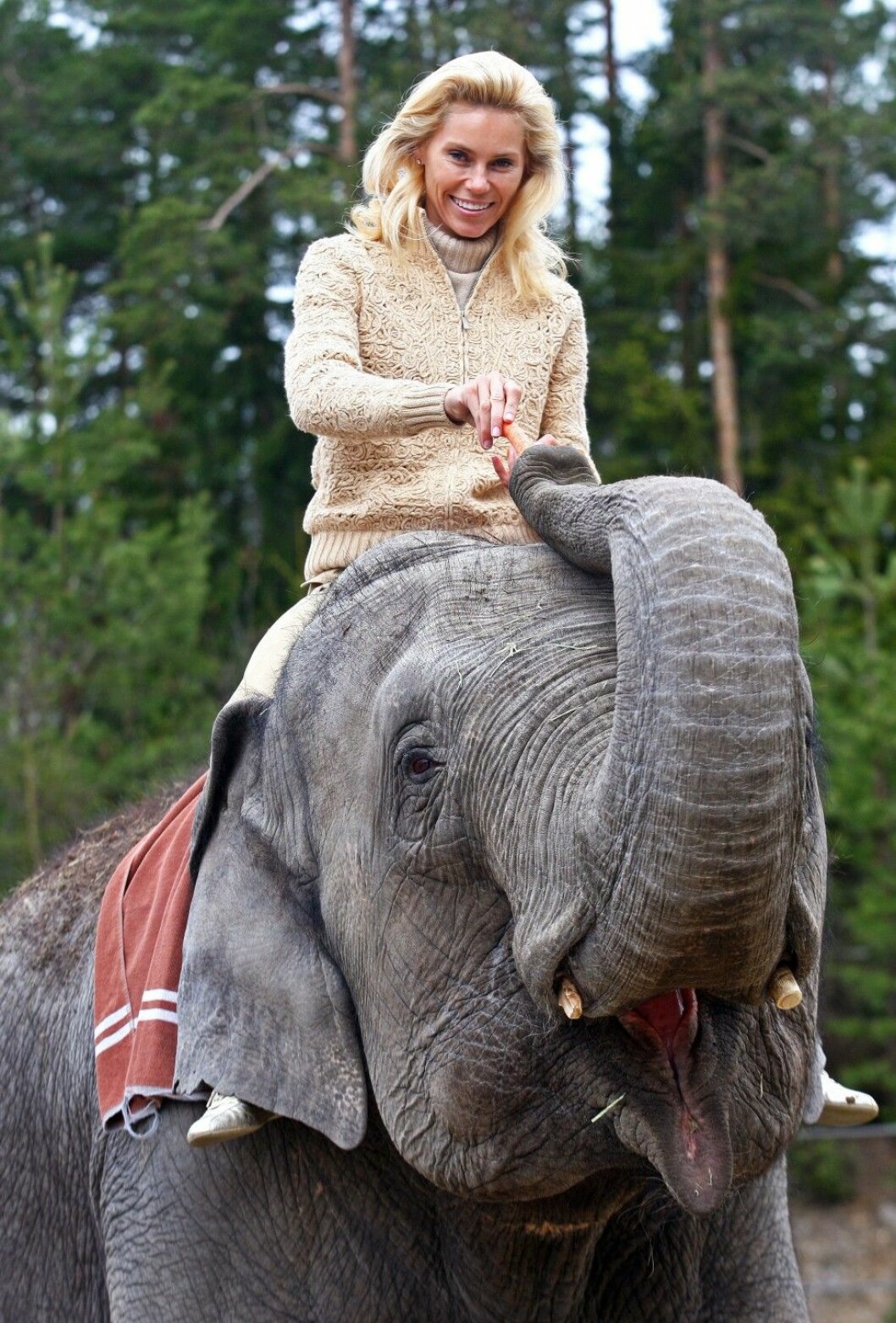 Foto: Stella Pictures Svenska Hollywoodfrun Anna Anka, 44, var ett stort namn 2010. Därför tyckte både hon och TV3 att det var idealiskt att hon fotograferades då hon red på en elefant i Kolmården 2010.