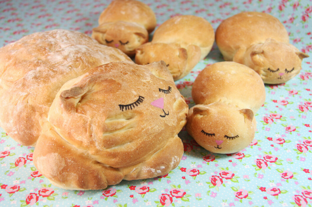 Foto: Stella Pictures Cat Loaf