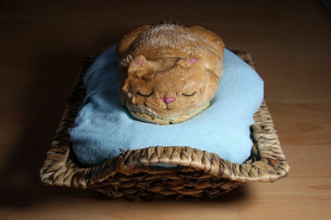 Foto: Stella Pictures Cat Loaf