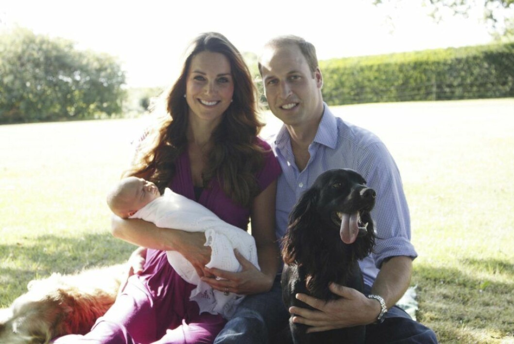 En bild från 2013 då av Kate, prins William, då nyfödde prins George och Lupo. I bakgrunden syns även familjens tidigare hund Tilly.