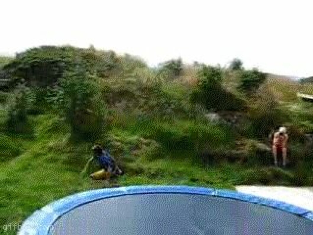 Via: <a href="http://giphy.com/gifs/trampoline-5UlE8oBpvueje" target="_blank">Giphy</a> Via: Giphy
