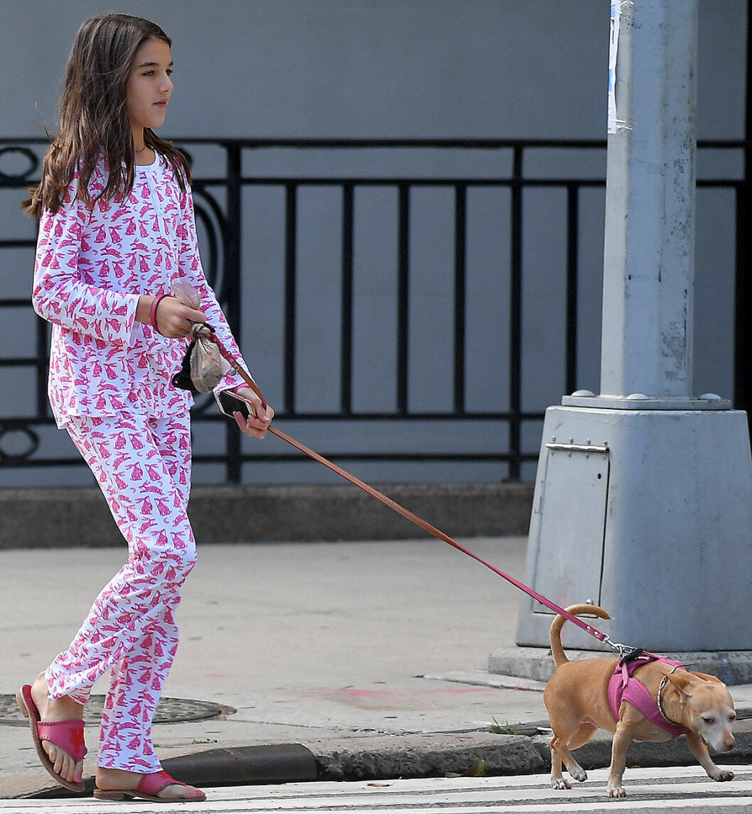 Suri Cruise med sin hund. Paparazzis fotar 13-åringen var hon än går. Suri Cruise med sin hund Honey.