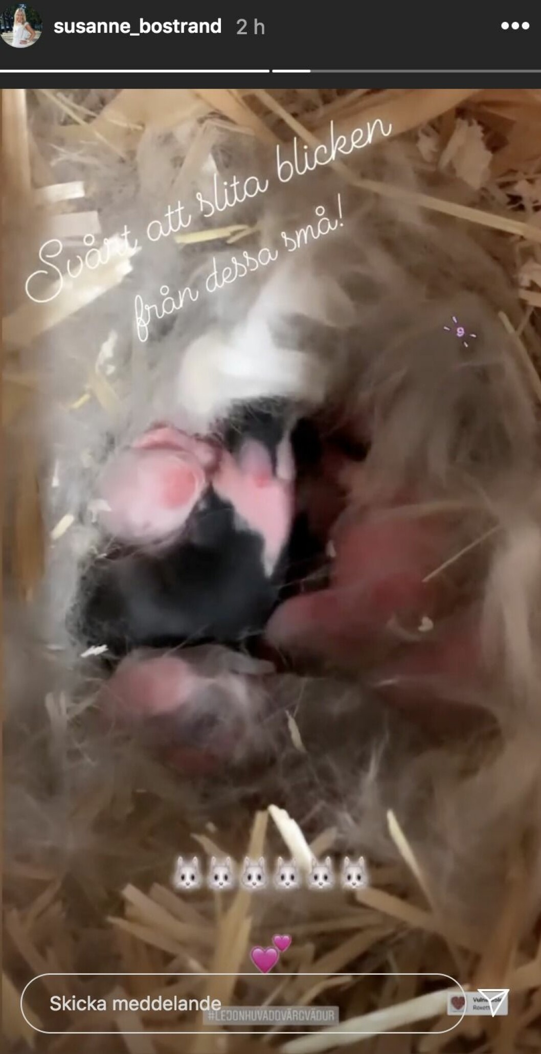 FOTO: Instagram Susanne Bostrand visar upp familjelyckan