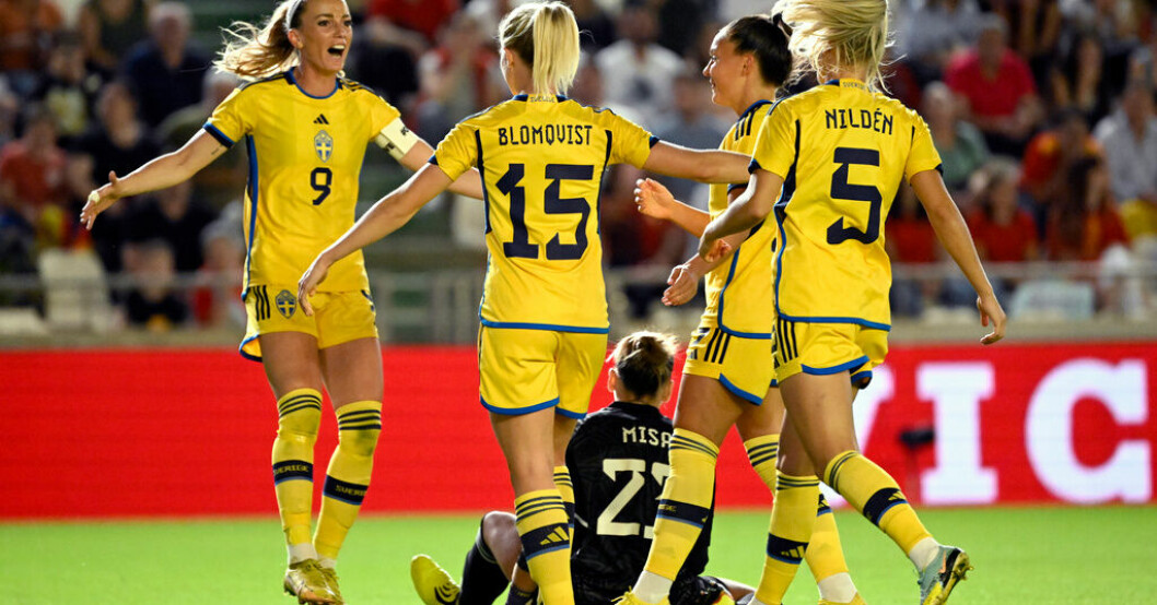 Sverige är trea på Fifas landslagsrankning inför sommarens VM. Arkivbild. Inför VM: Sverige tredje bäst i världen