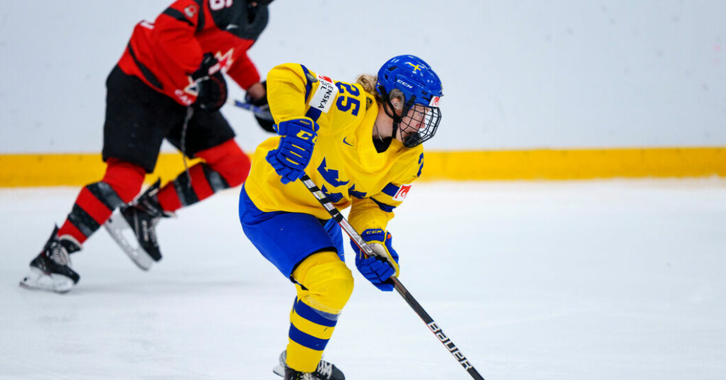 Sverige jagar revansch mot Kanada i VM-kvartsfinalen. Arkivbild. Guide: Inför Damkronornas VM-kvartsfinal