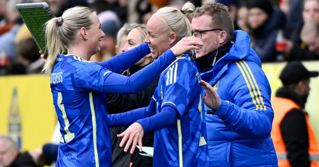 Sverige möter Sydafrika i första gruppspelsmatchen. Arkivbild. Fifas VM-mål: 2 miljarder tv-tittare