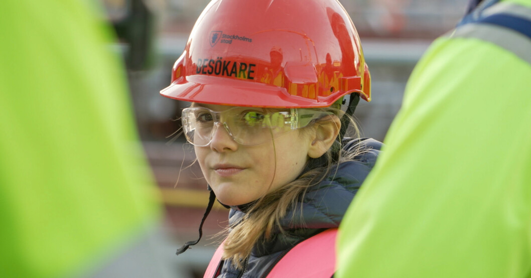 Skärmdump från Året med kungafamiljen. Året med kungafamiljen