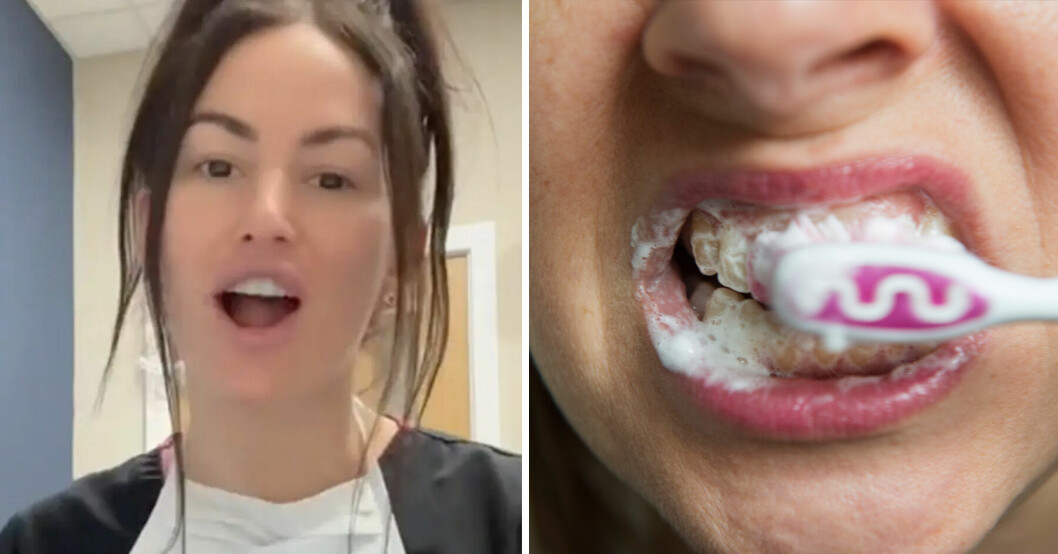 Tandläkaren Jess uppmanar familjer att använda samma tandborste.