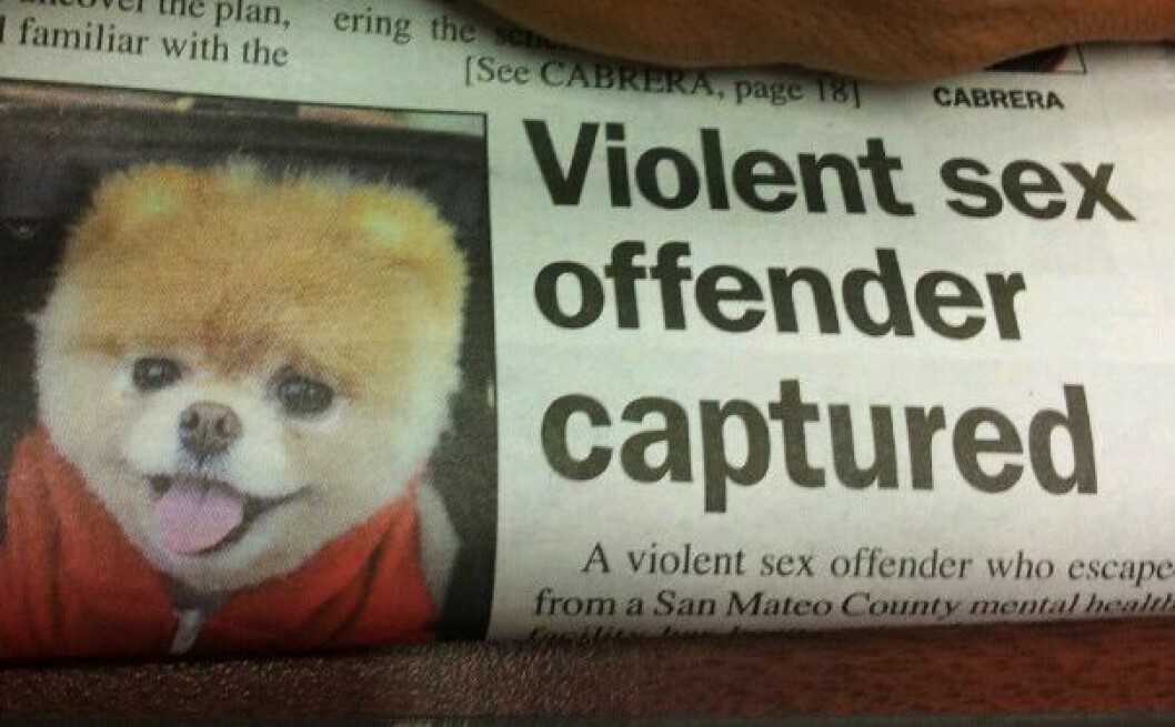 Via: <a href="http://imgur.com/a/rhDCf" target="_blank">Imgur</a> tidning-4