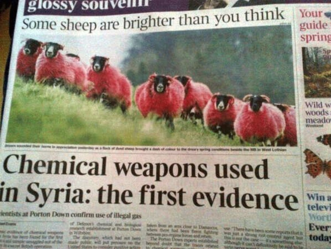 Via: <a href="http://i.imgur.com/h0f0W1e.png" target="_blank">Imgur</a> tidning-11