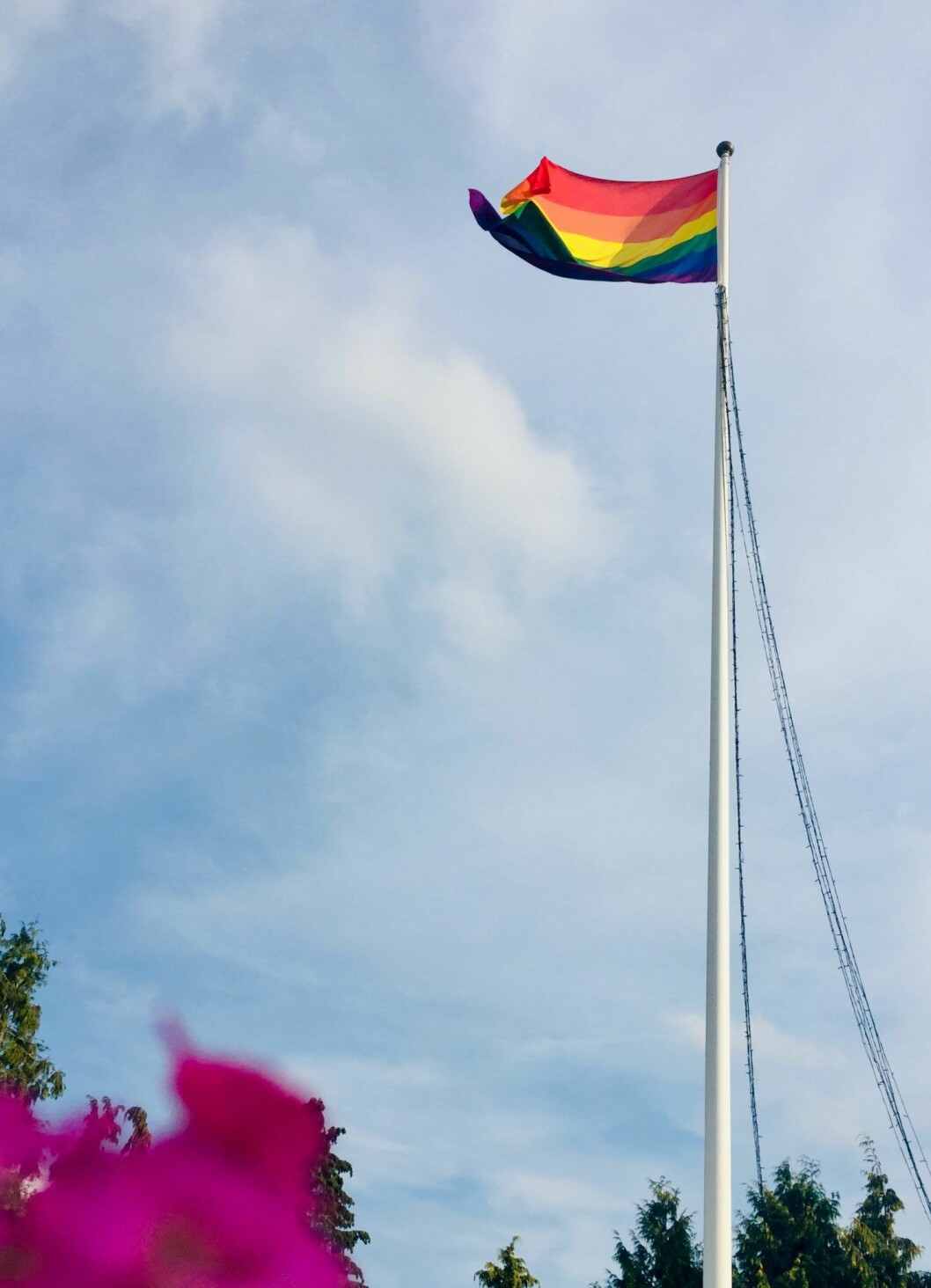 Pride-flaggan vajade i vinden under bröllopsfesten. Pride-flaggan vajade i vinden under bröllopsfesten.