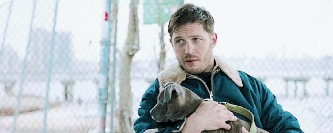 Via: <a href="http://giphy.com/search/tom-hardy" target="_blank" rel="noopener">Giphy</a> http://giphy.com/search/tom-hardy