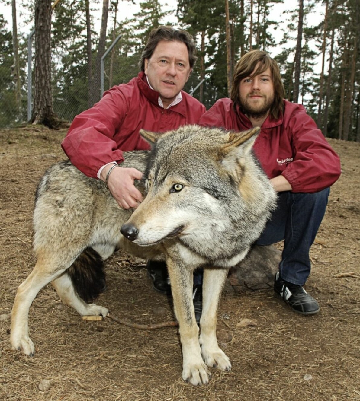 FOTO: Cecilia Liljeton/TT Tommy Körberg med sonen Anton Körberg