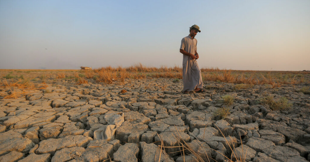 Torkan är utbredd i Irak. Arkivbild. Iraks premiärminister: Jobbar på klimatplan