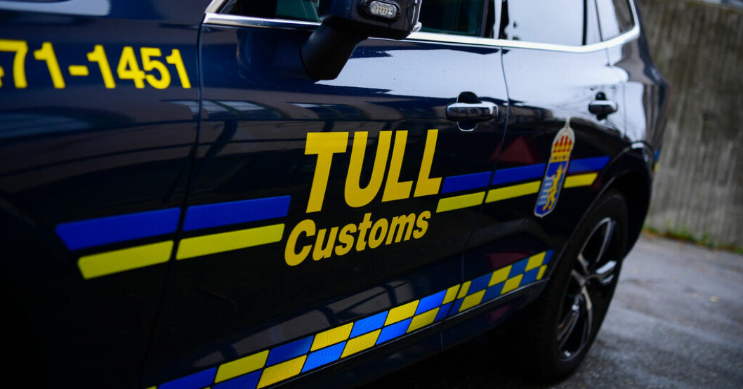 Under en tullkontroll vid Öresundsbron i december hittades fem valpar. Nu döms ett par till fängelse. Arkivbild. Fängelse för smuggling av hundvalpar