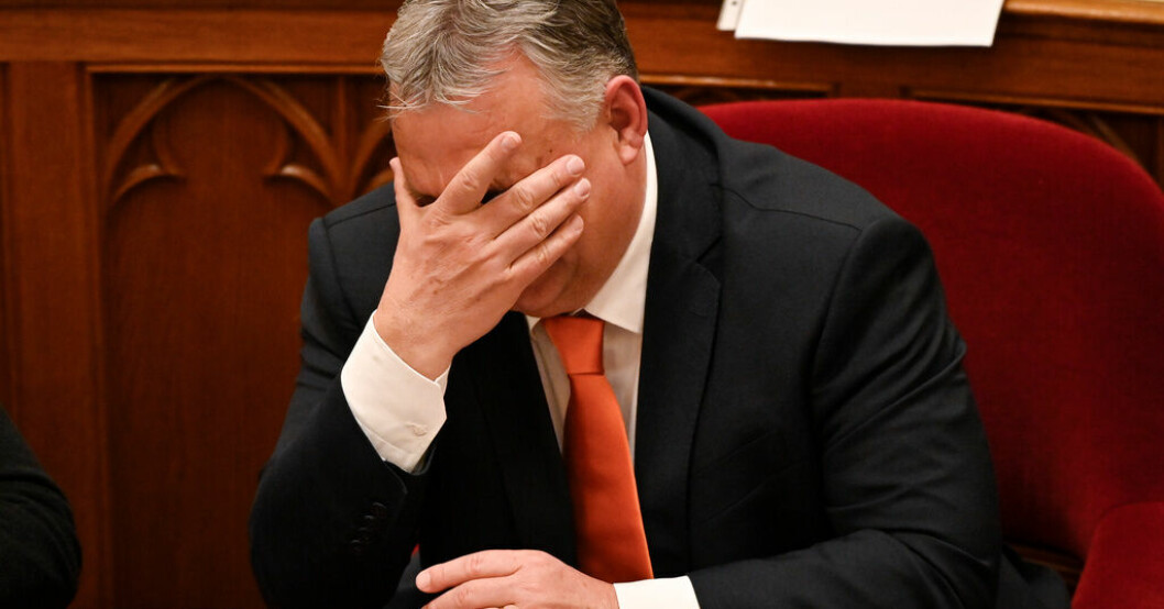 Ungern och premiärminister Viktor Orbán har den särklassigt högsta inflationstakten i EU just nu. Men totalt är ändå siffrorna på väg ned. Arkivfoto. Inflationen sjunker i EU