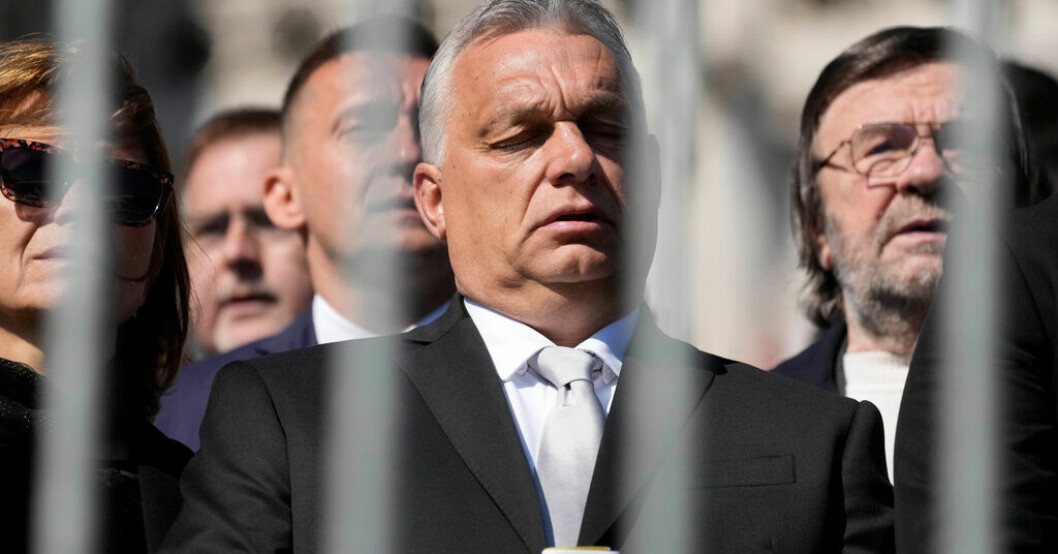 Viktor Orbán längtar efter Donald Trump