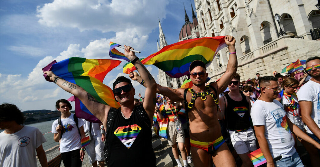 USA:s ambassadör talade under öppnandet av Budapest Pride. Arkivbild. USA beskyller Orbán för hat mot homosexuella