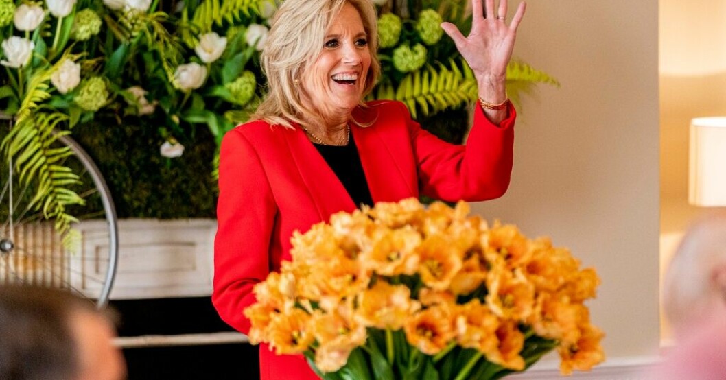 USA:s första dam, presidenthustrun Jill Biden, har fått en nederländsk tulpan döpt efter sig. Jill Biden har fått tulpannamne