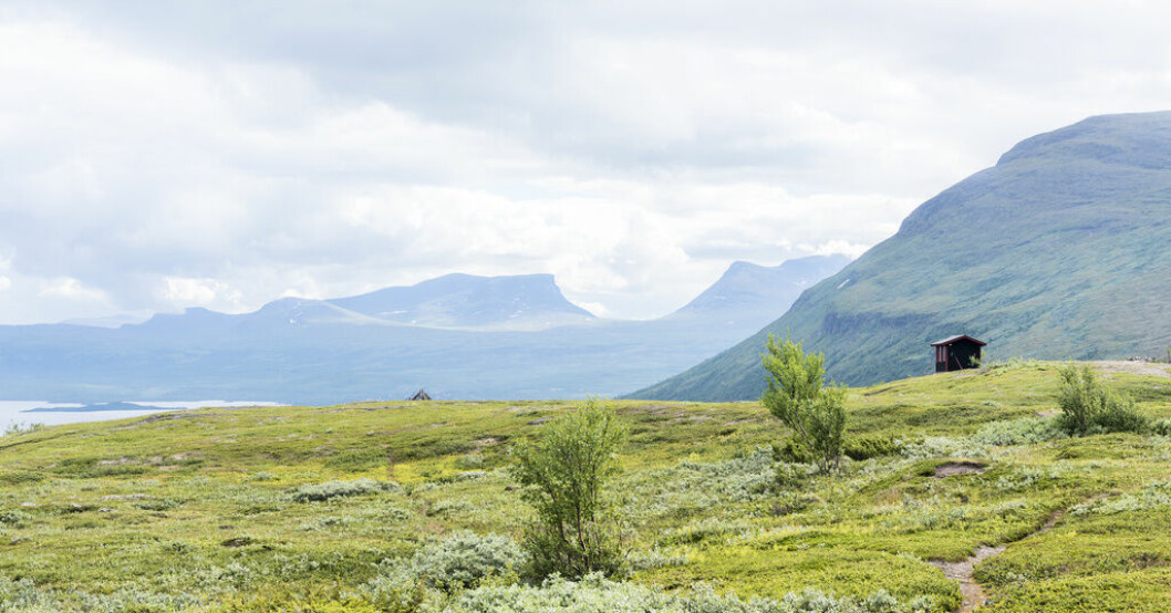 Vackert, men ont om arbetskraft. I bakgrunden Lapporten. Arkivbild. Uppemot 100 000 i Norrlandsbonus