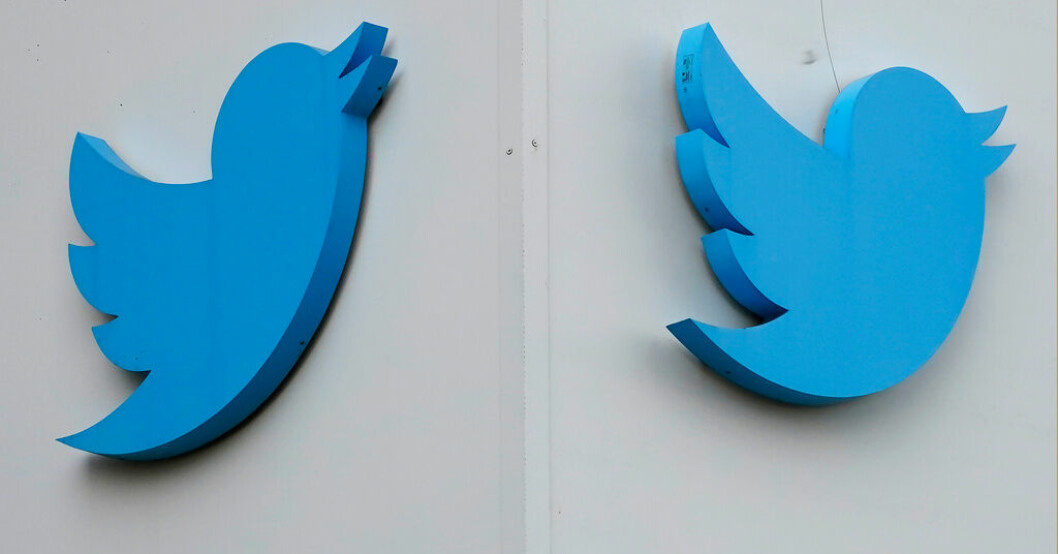 Vad vill Elon Musk göra med Twitter? Arkivbild. Bolaget Twitter blir bolaget X