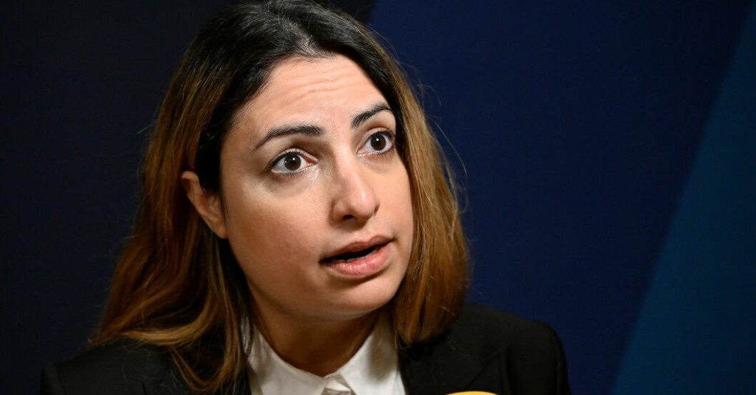 Vänsterpartiets partiledare Nooshi Dadgostar vill se ett liknande pristak på matpriser som införts i Frankrike. Arkivbild. V vill se stopp för högre matpriser