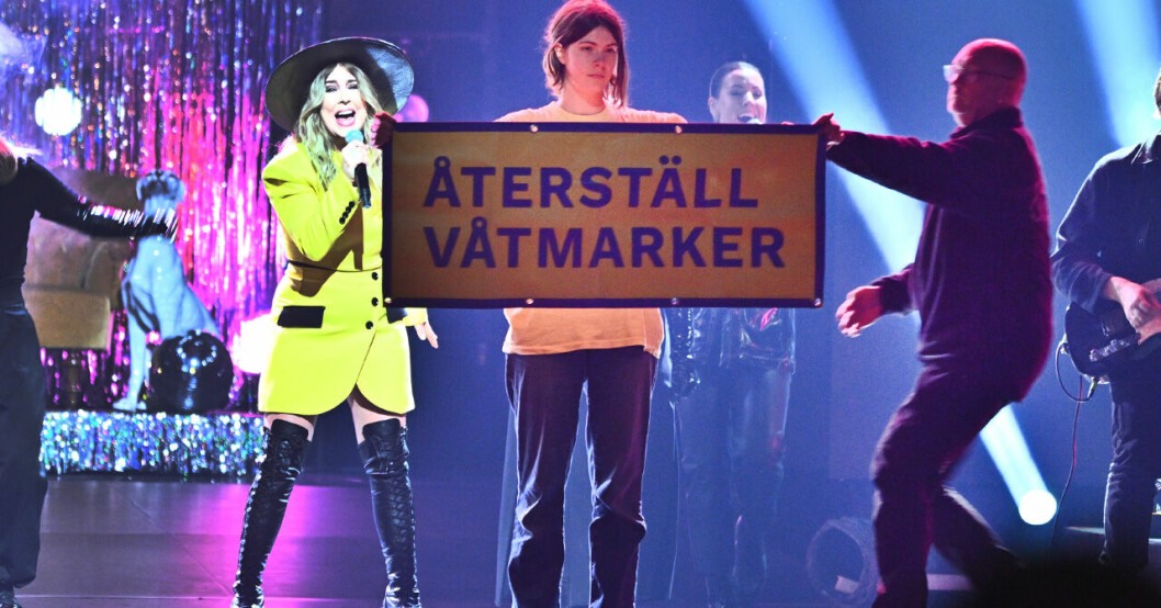 Kvällens första kupp under Miss Li:s framträdande. En aktivist stormade scenen under Miss Li:s framträdande under Idol finalen