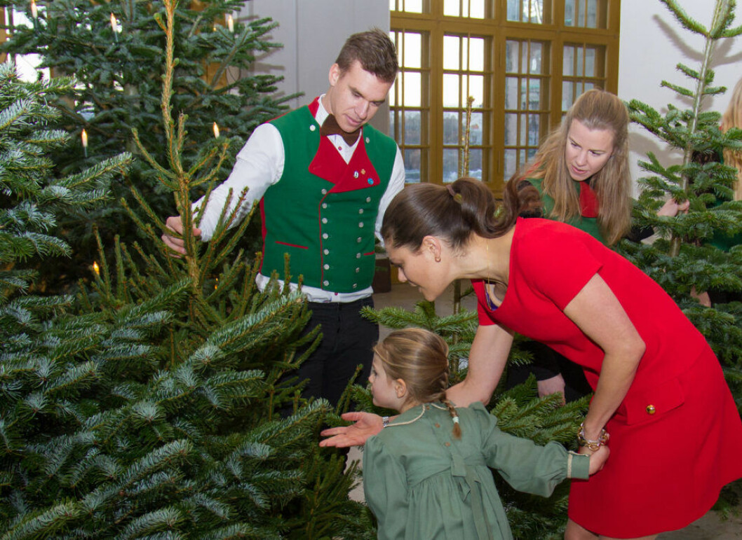 Kronprinsessan Victoria och Prinsessan Estelle tog emot julgranar av studenter från SLU. 14 december 2016, Kungliga slottet Kronprinsessan Victoria och Prinsessan Estelle tog emot julgranar av studenter från SLU.