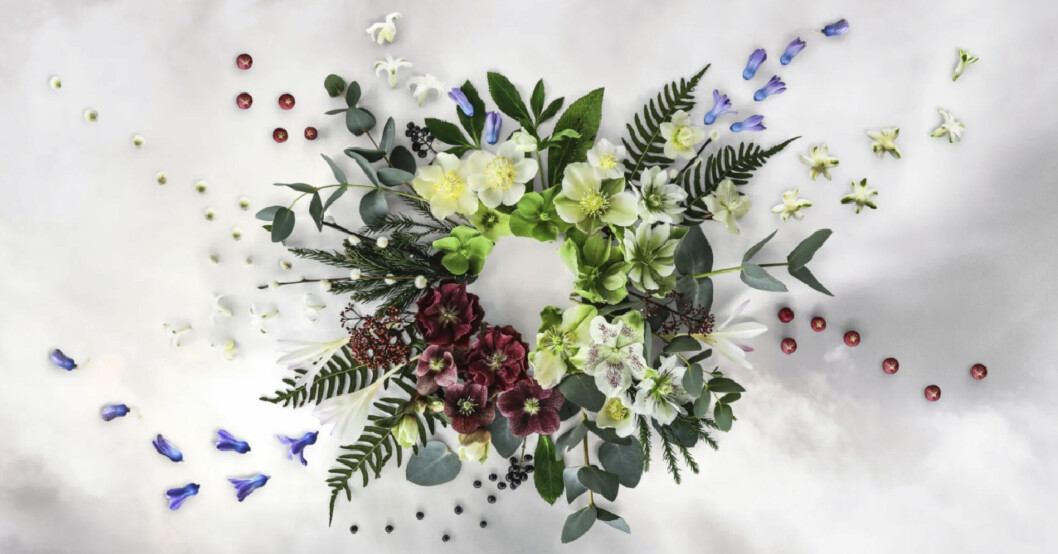 <span class=" italic" data-lab-italic_desktop="italic">Vinter</span> i P1. Vinter i P1 2021/2022