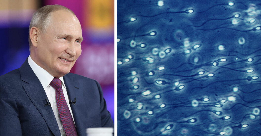 Vladimir Putin och spermier i mikroskop.