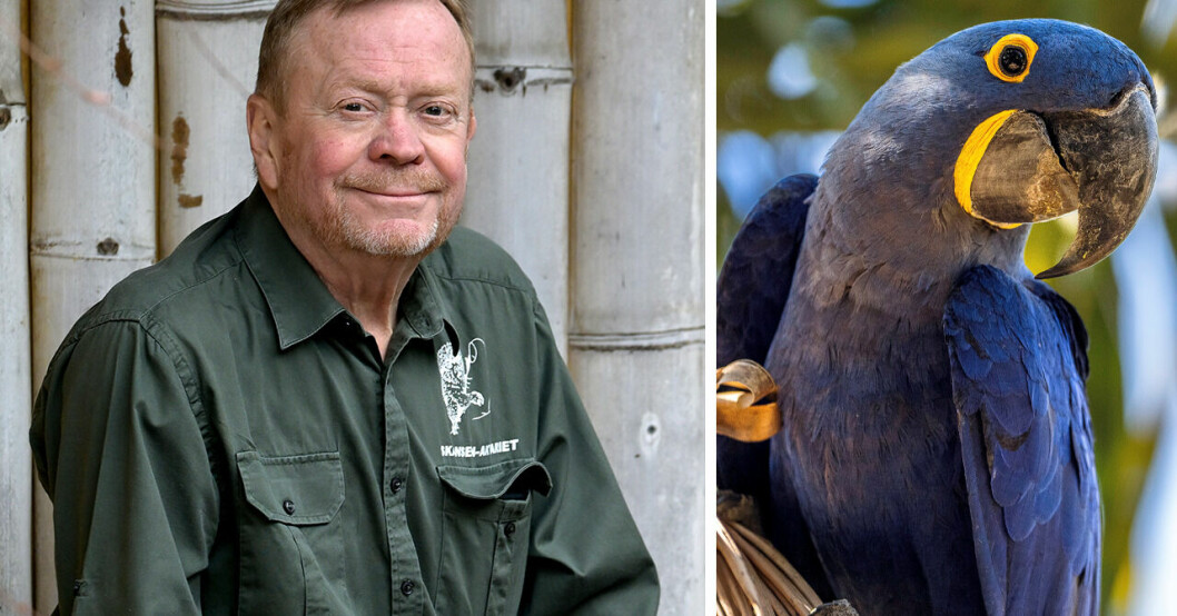 Skansen-Akvariets Jonas Wahlströms försvar efter Dagens Nyheters granskning