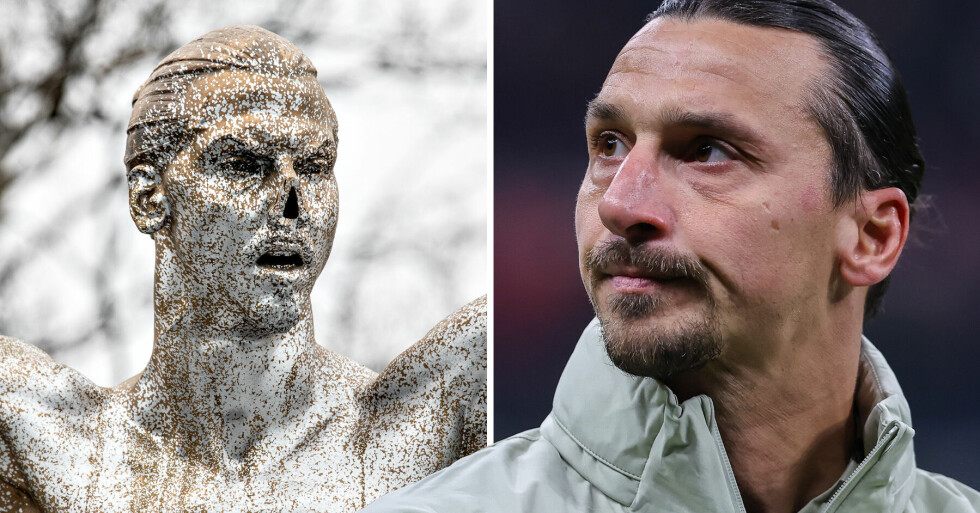 Zlatans näsa uppges säljas för 1,1 miljoner.